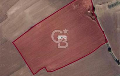 ÇORUM ALACA KARGIN UZAMIŞ MEVKİİ 8.177 M2 SATILIK TARLA