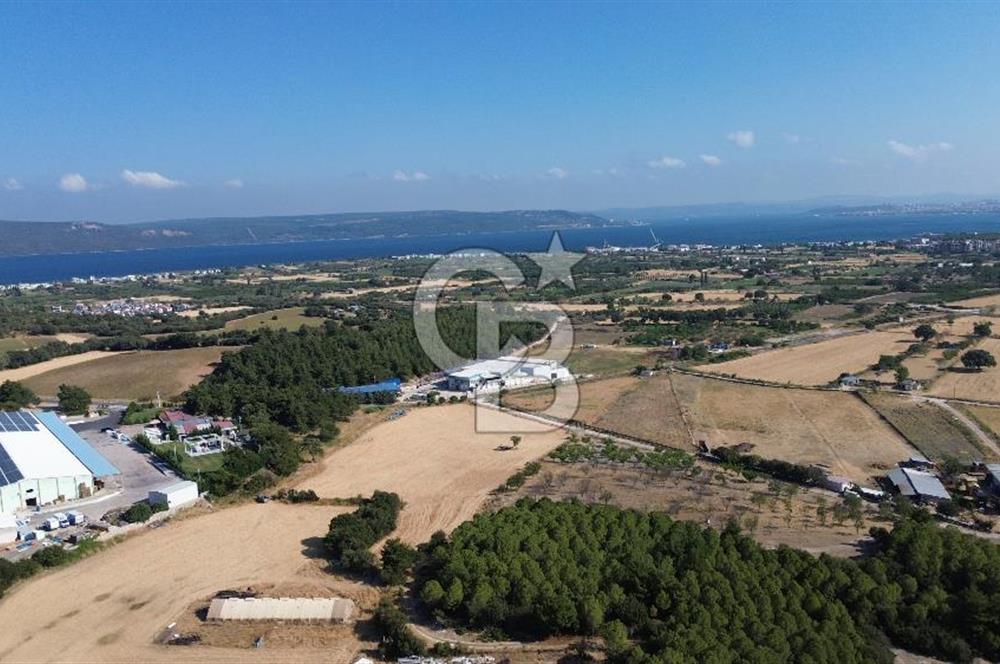 ÇANAKKALE MERKEZ DARDANOS’TA 16.910 m² SATILIK TARLA