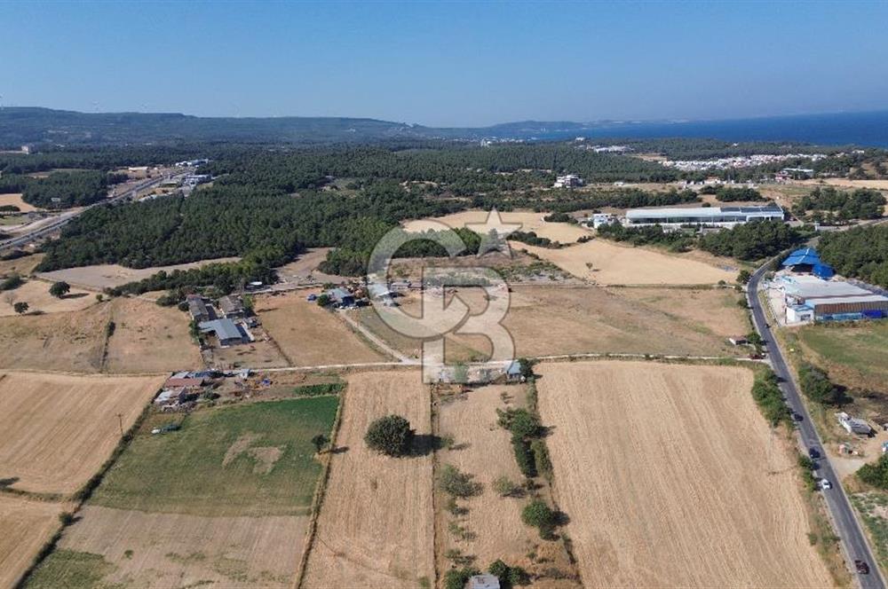 ÇANAKKALE MERKEZ DARDANOS’TA 16.910 m² SATILIK TARLA