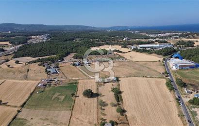ÇANAKKALE MERKEZ DARDANOS’TA 16.910 m² SATILIK TARLA