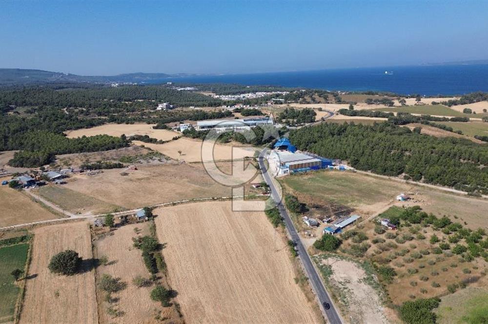 ÇANAKKALE MERKEZ DARDANOS’TA 16.910 m² SATILIK TARLA