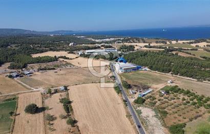 ÇANAKKALE MERKEZ DARDANOS’TA 16.910 m² SATILIK TARLA