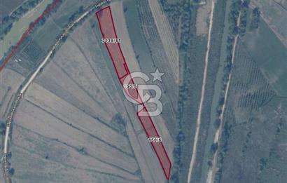 HENDEK SOĞUKSU DA SATILIK 11984 METREKARE TARLA