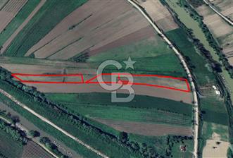 HENDEK SOĞUKSU DA SATILIK 11984 METREKARE TARLA - 1 - 327914