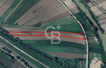 HENDEK SOĞUKSU DA SATILIK 11984 METREKARE TARLA