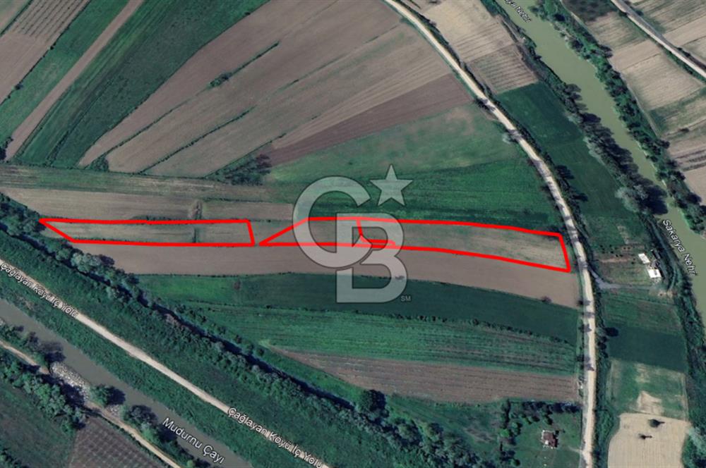 HENDEK SOĞUKSU DA SATILIK 11984 METREKARE TARLA