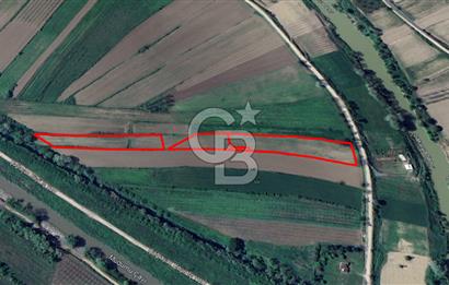 HENDEK SOĞUKSU DA SATILIK 11984 METREKARE TARLA