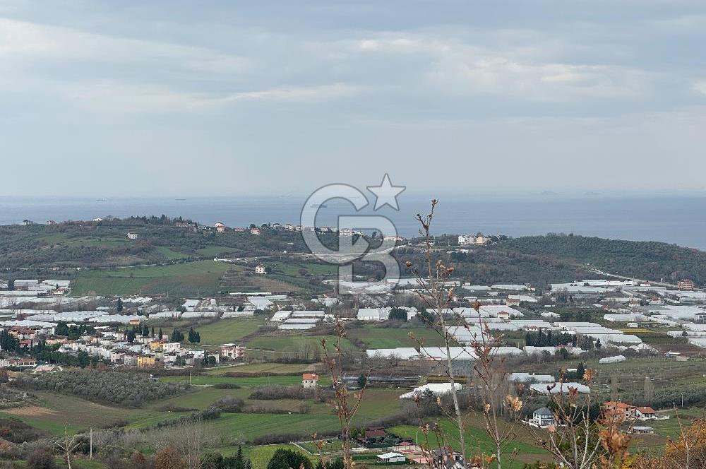 YALOVA TERMAL AKKÖY SATILIK DENİZ VE DOĞA MANZARALI ARSA 1.123M2