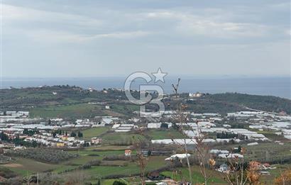 YALOVA TERMAL AKKÖY SATILIK DENİZ VE DOĞA MANZARALI ARSA 1.123M2