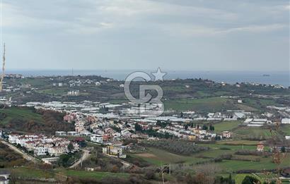 YALOVA TERMAL AKKÖY SATILIK DENİZ VE DOĞA MANZARALI ARSA 1.123M2
