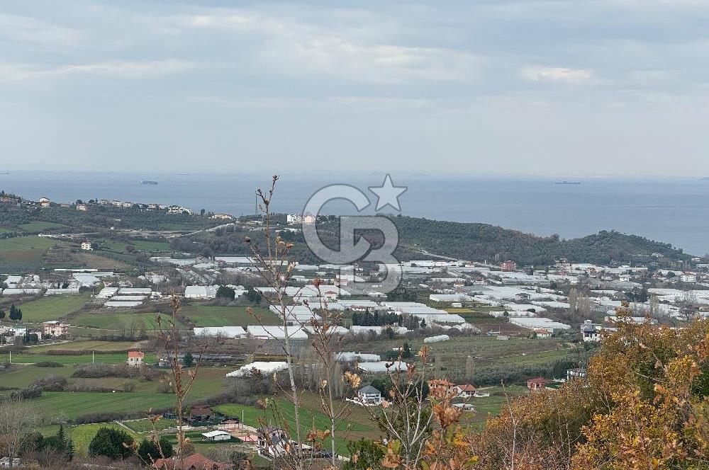 YALOVA TERMAL AKKÖY SATILIK DENİZ VE DOĞA MANZARALI ARSA 1.123M2
