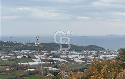 YALOVA TERMAL AKKÖY SATILIK DENİZ VE DOĞA MANZARALI ARSA 1.123M2