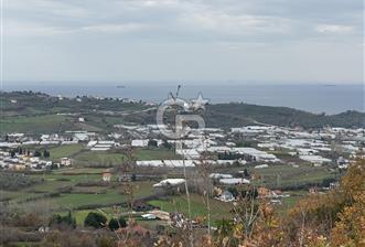 YALOVA TERMAL AKKÖY SATILIK DENİZ VE DOĞA MANZARALI ARSA 1.123M2 - 3 - 327921