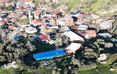 Bergama Sindel'de Satılık Tarla