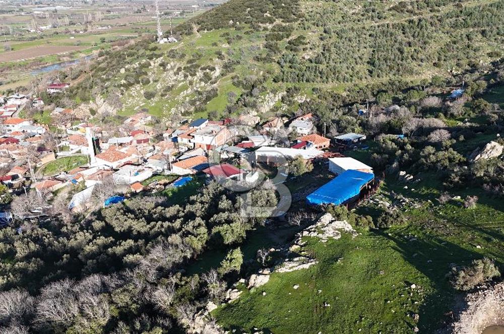 Bergama Sindel'de Satılık Tarla