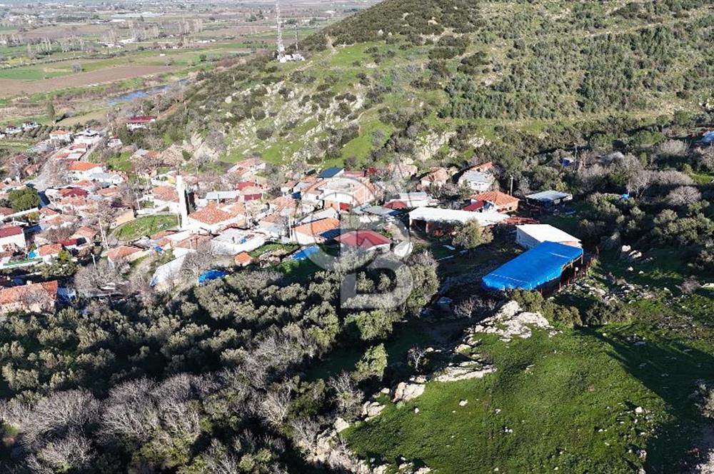 Bergama Sindel'de Satılık Tarla