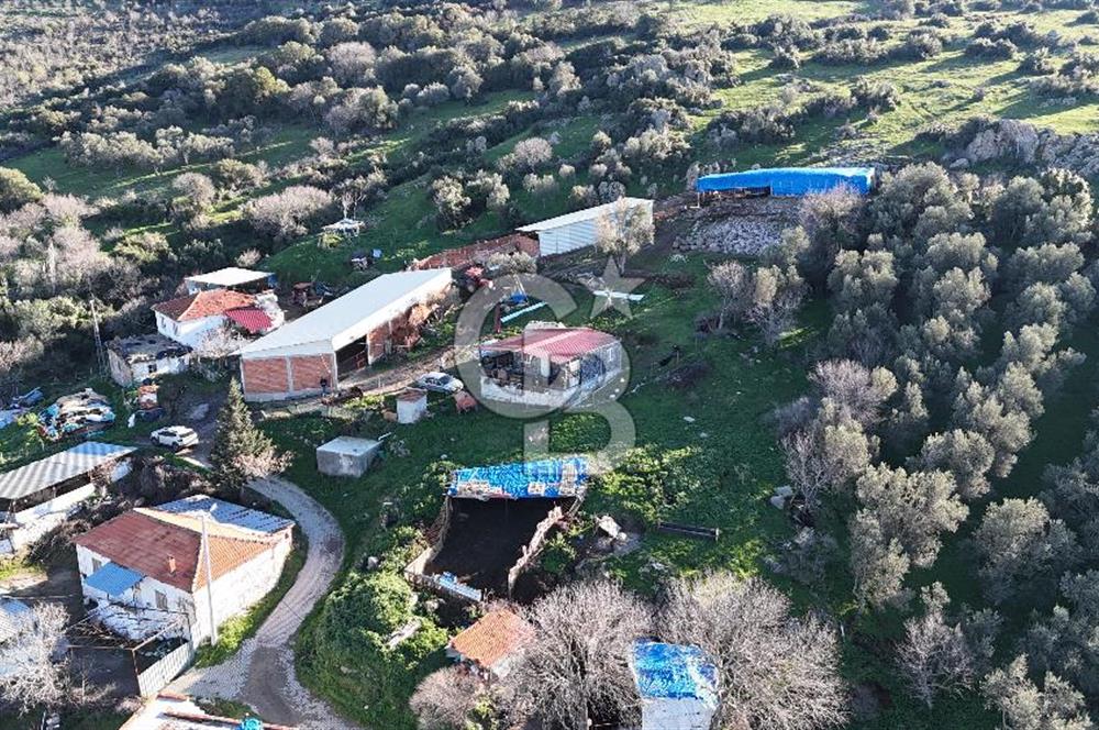 Bergama Sindel'de Satılık Tarla