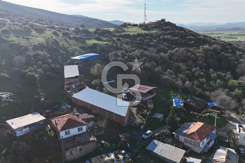 Bergama Sindel'de Satılık Tarla