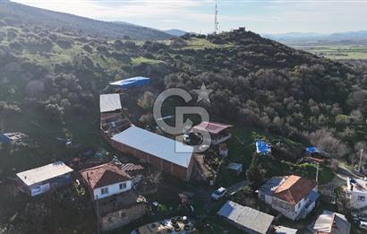 Bergama Sindel'de Satılık Tarla