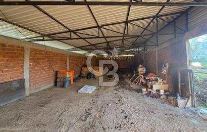 Bergama Sindel'de Satılık Tarla