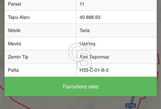 ÇORUM ALACA KARGIN UZAMIŞ MEVKİİ 8.177 M2 SATILIK TARLA - 3 - 327918