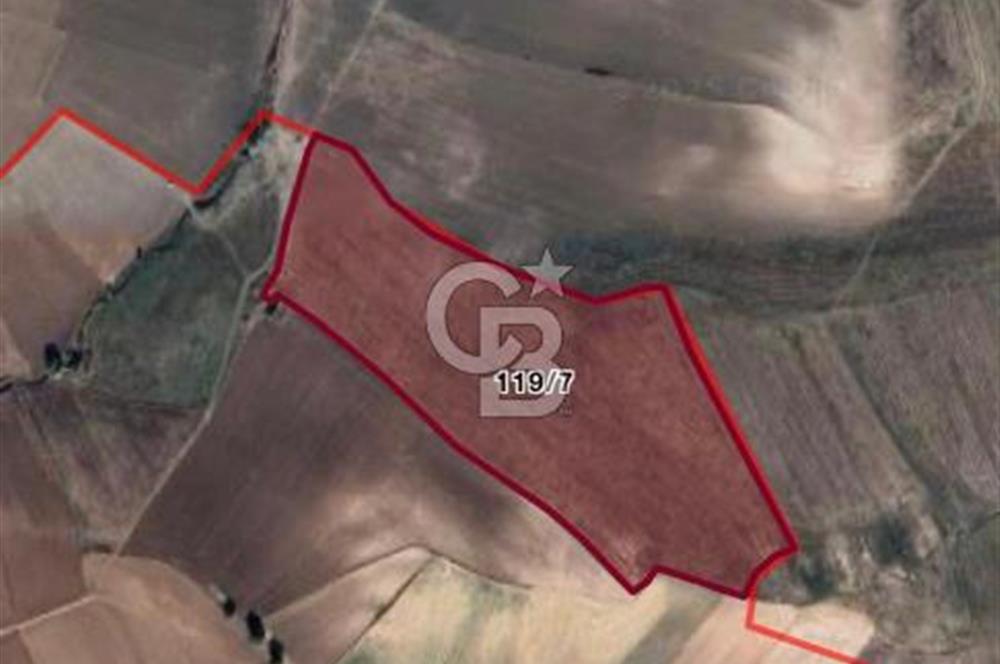 ÇORUM ALACA KARGIN ATPINARI MEVKİİNDE 11.562 M2 SATILIK TARLA