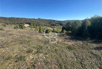 Şilede 'de Çelebi Mahallesinde Müstakil Parsel Satılık Tarla - 2 - 327975