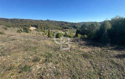 Şilede 'de Çelebi Mahallesinde Müstakil Parsel Satılık Tarla