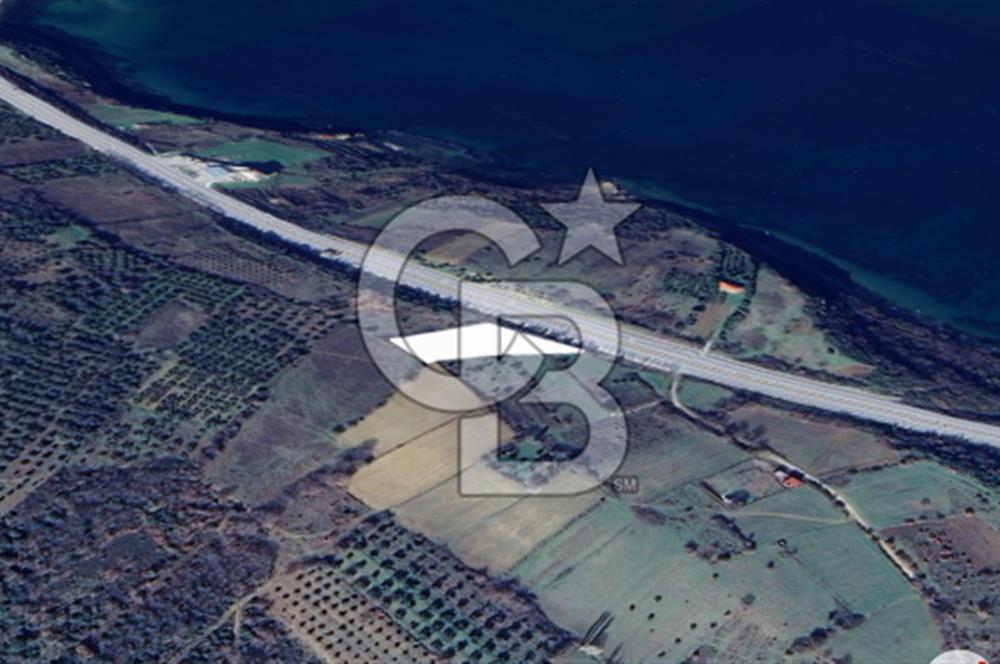 ÇANAKKALE LAPSEKİ ŞEVKETİYE’DE 1/3 HİSSELİ  SATILIK TARLA