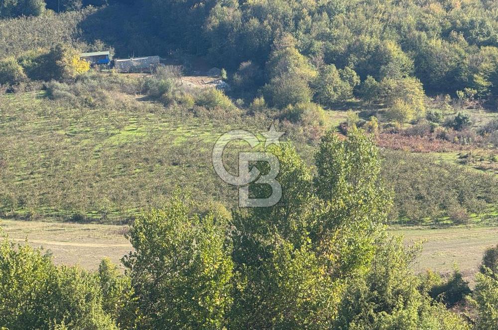 Şilede 'de Çelebi Mahallesinde Müstakil Parsel Satılık Tarla