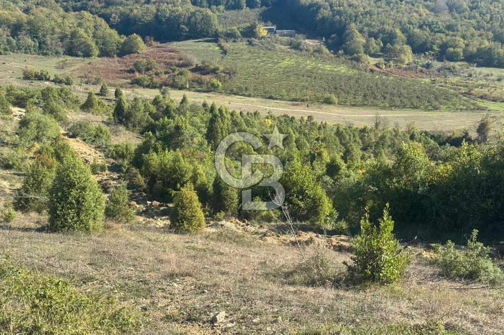 Şilede 'de Çelebi Mahallesinde Müstakil Tapulu Satılık Tarla
