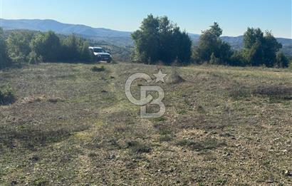 Şilede 'de Çelebi Mahallesinde Müstakil Tapulu Satılık Tarla