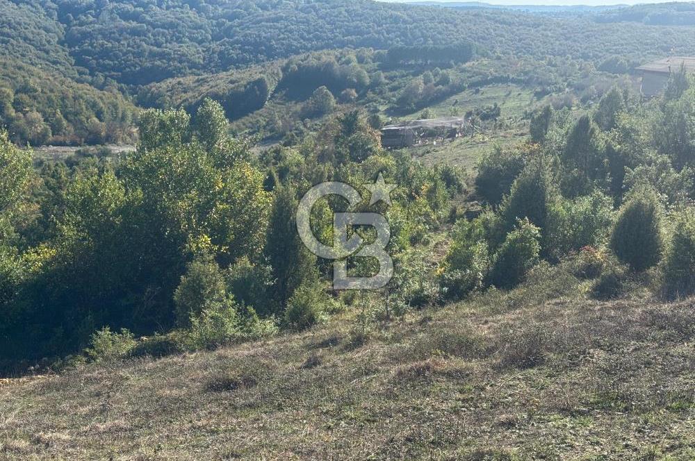 Şilede 'de Çelebi Mahallesinde Müstakil Parsel Satılık Tarla