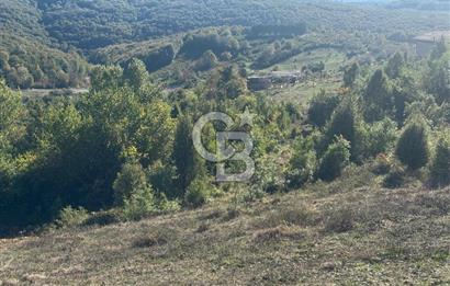 Şilede 'de Çelebi Mahallesinde Müstakil Parsel Satılık Tarla