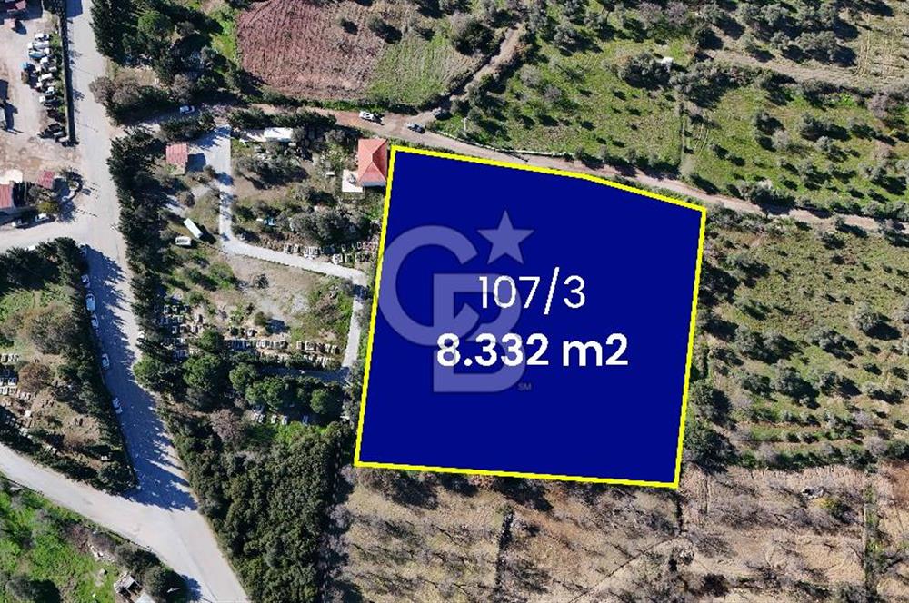 DATÇA HIZIRŞAHTA AGRO TURİZM NİTELİKLİ ARAZİ