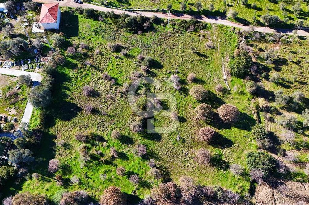 DATÇA HIZIRŞAHTA AGRO TURİZM NİTELİKLİ ARAZİ