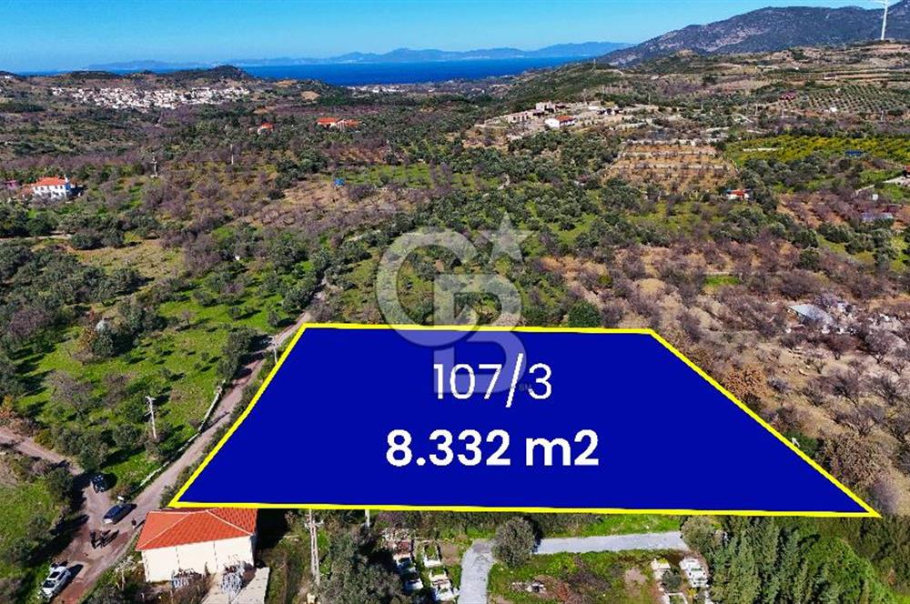 DATÇA HIZIRŞAHTA AGRO TURİZM NİTELİKLİ ARAZİ