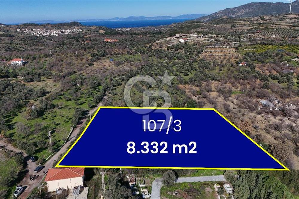 DATÇA HIZIRŞAHTA AGRO TURİZM NİTELİKLİ ARAZİ