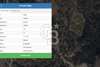 YATAĞAN ÇAKIRLAR'DA 1171 M2 SATILIK ZEYTİNLİK - 1 - 327982
