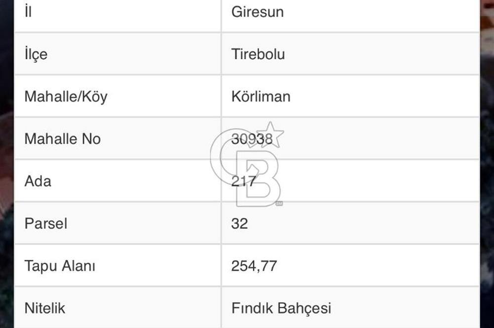 Giresun / Tirebolu Körliman Mahallesi Satılık İmarlı Arsa