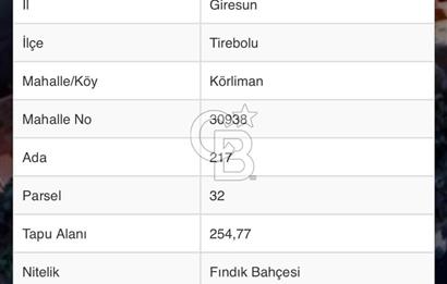 Giresun / Tirebolu Körliman Mahallesi Satılık İmarlı Arsa