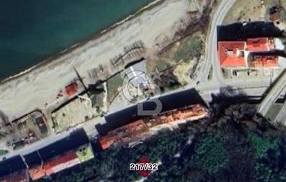 Giresun / Tirebolu Körliman Mahallesi Satılık İmarlı Arsa
