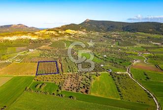 Foça Kocamehmetler'de Satılık Tarla - 9 - 327951