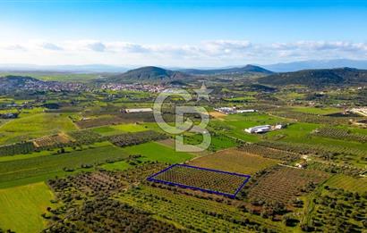 Foça Kocamehmetler'de Satılık Tarla