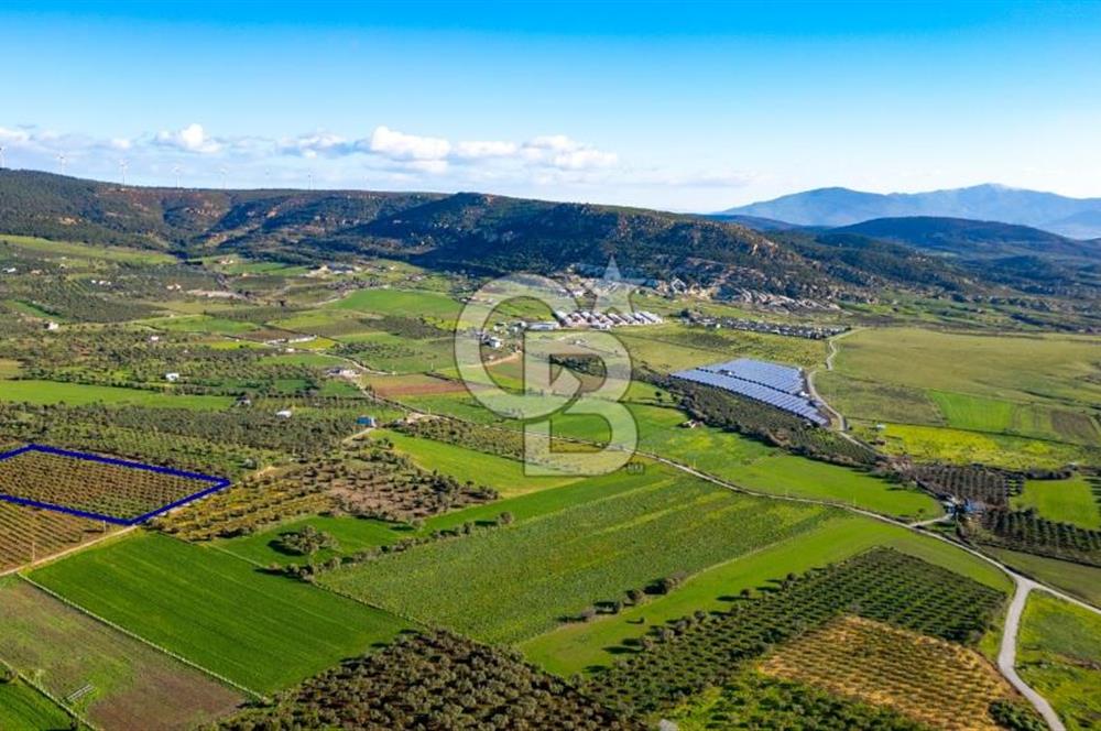 Foça Kocamehmetler'de Satılık Tarla