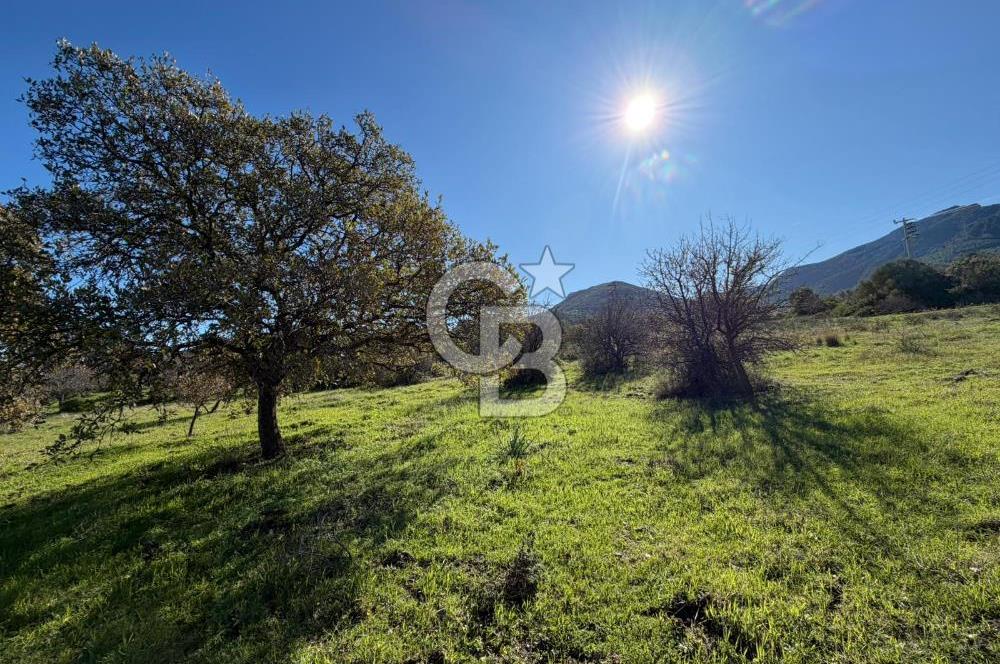 DATÇA HIZIRŞAHTA AGRO TURİZM NİTELİKLİ ARAZİ