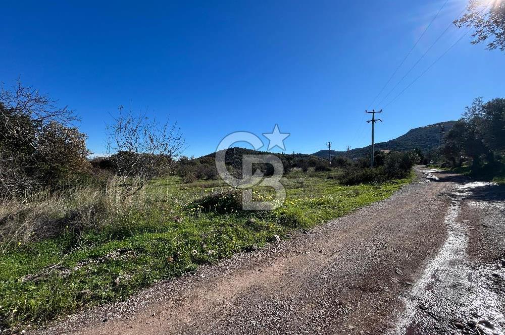 DATÇA HIZIRŞAHTA AGRO TURİZM NİTELİKLİ ARAZİ