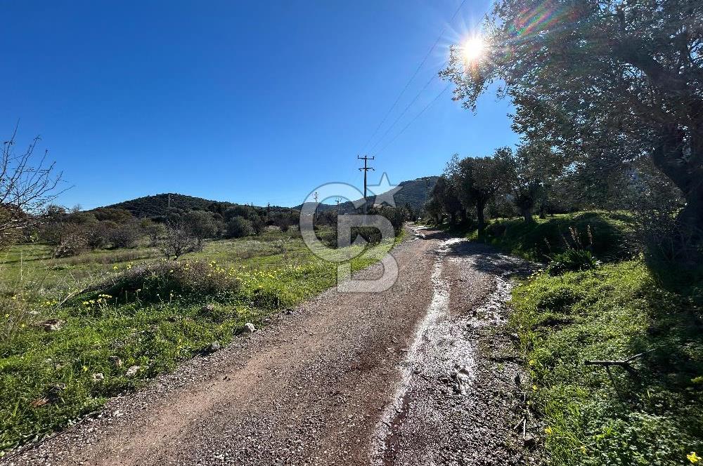 DATÇA HIZIRŞAHTA AGRO TURİZM NİTELİKLİ ARAZİ