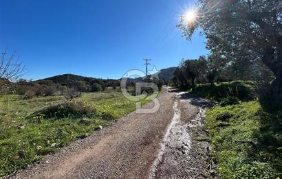 DATÇA HIZIRŞAHTA AGRO TURİZM NİTELİKLİ ARAZİ