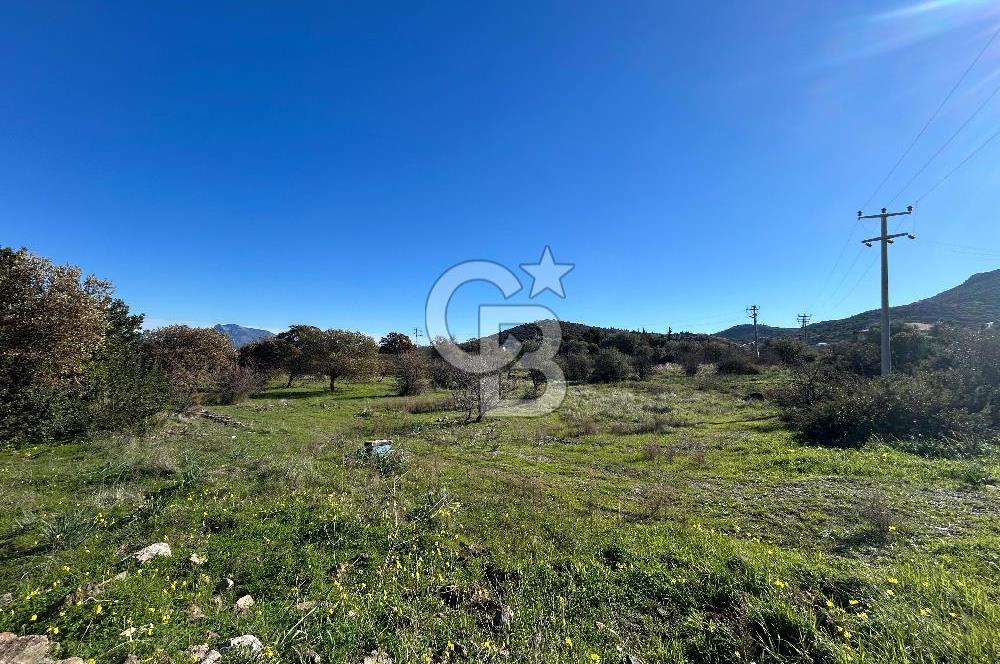 DATÇA HIZIRŞAHTA AGRO TURİZM NİTELİKLİ ARAZİ